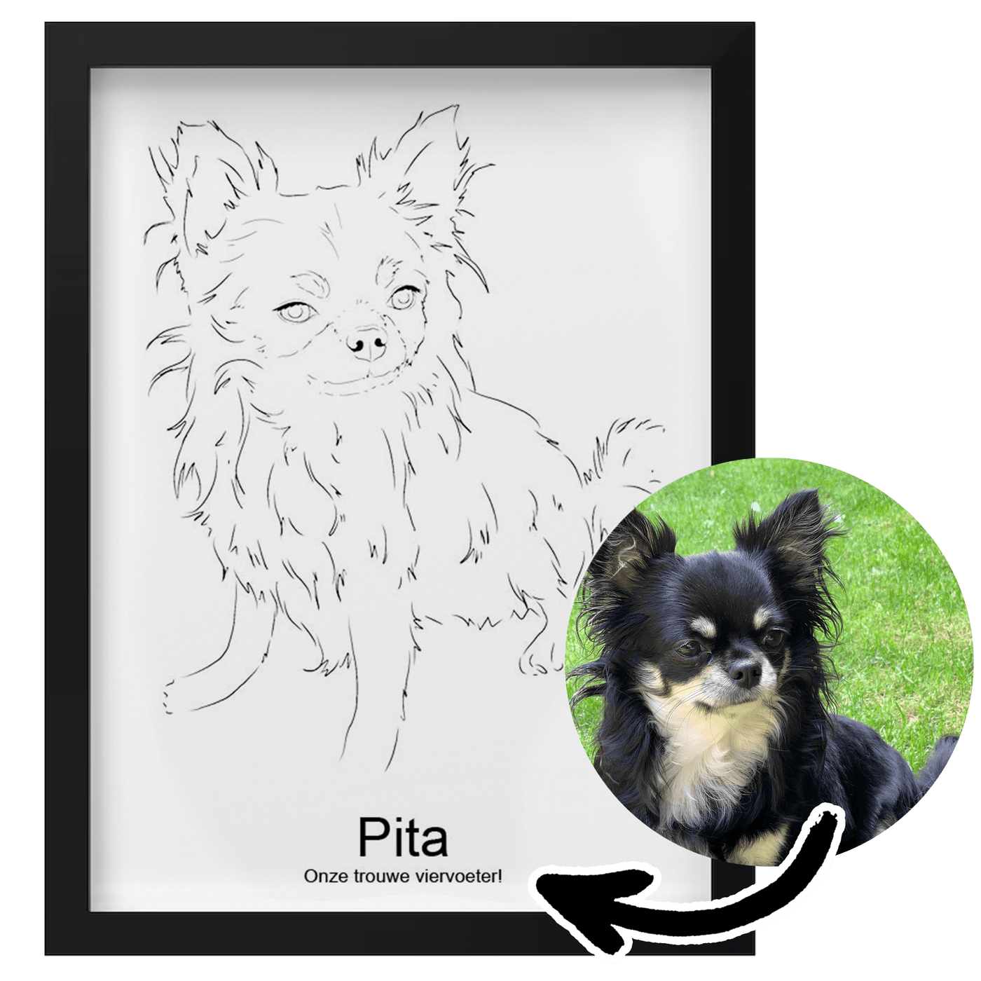 Poster - Huisdieren - Huisdier portret - Hond Kat Paard - Lijntekening